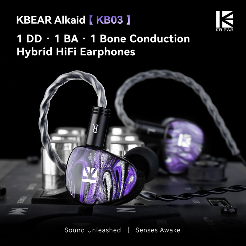 KBEAR Alkaid KB03 HiFi IEM イヤホ - 3D Printing Office Setup のレビューと価格