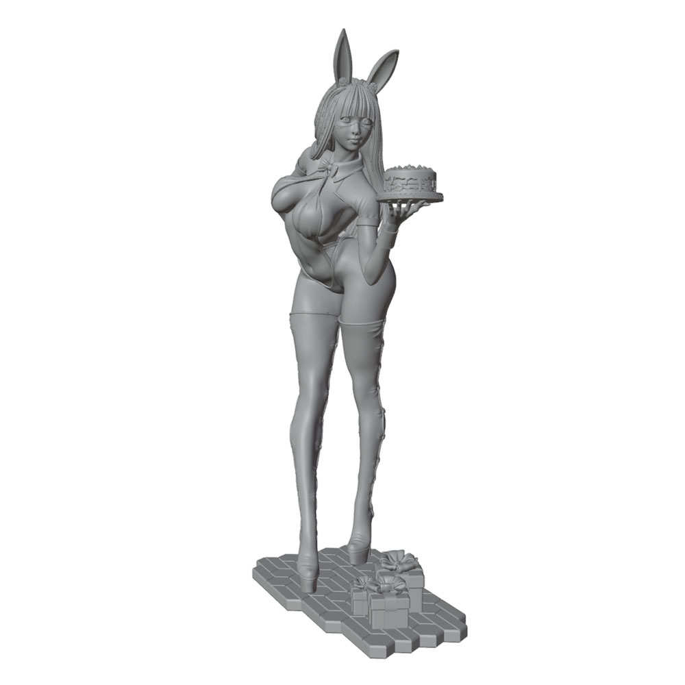 1/24/12/6 ホリデーパーティーテーマ バニーガールキ - 3D Printing Rabbit のレビューと価格