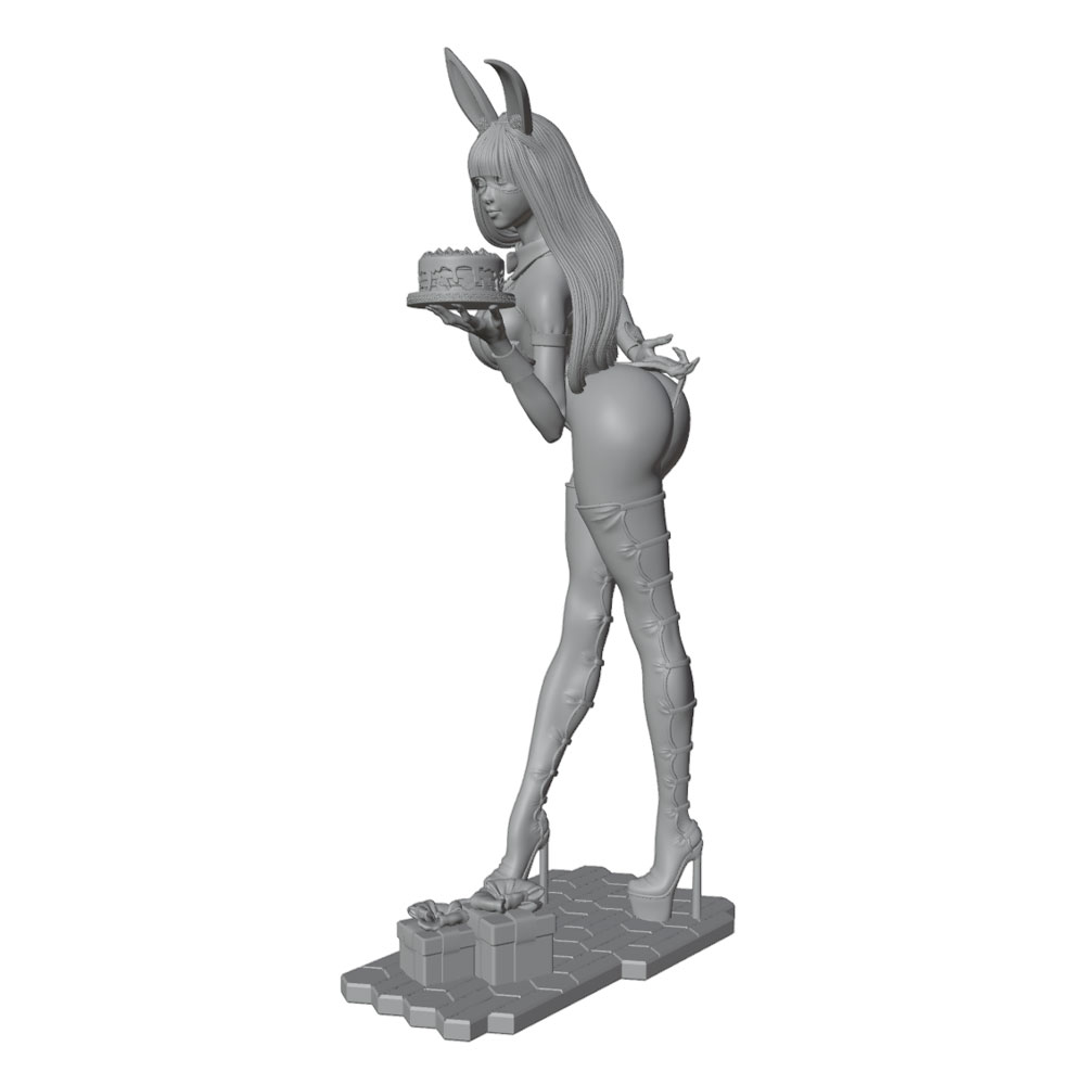 1/24/12/6 ホリデーパーティーテーマ バニーガールキ - 3D Printing Rabbit のレビューと価格